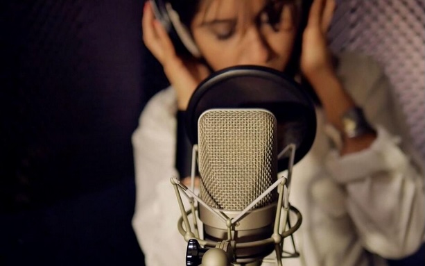 Professional studio microphone